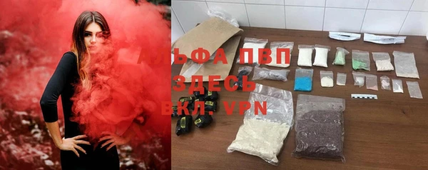 прущие крисы Бородино