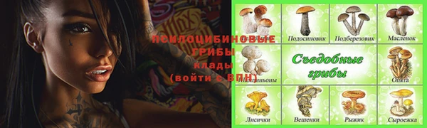 apvp Бугульма