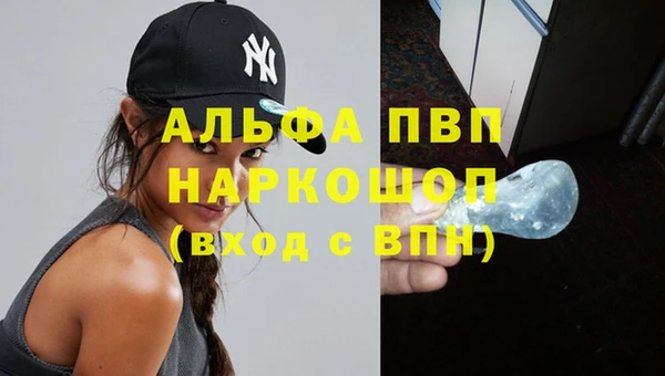 прущие крисы Бородино