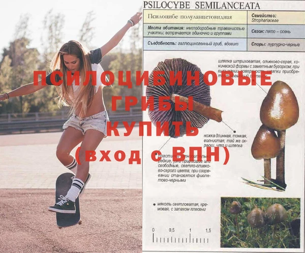 apvp Бугульма